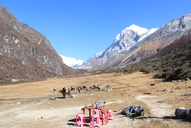 foto-divulgacionaautoins