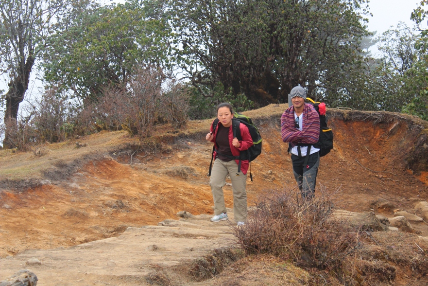 foto-divulgacionaautoins